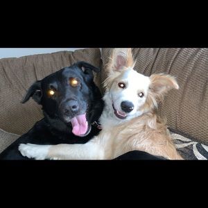 Meet your Posher, Jaden